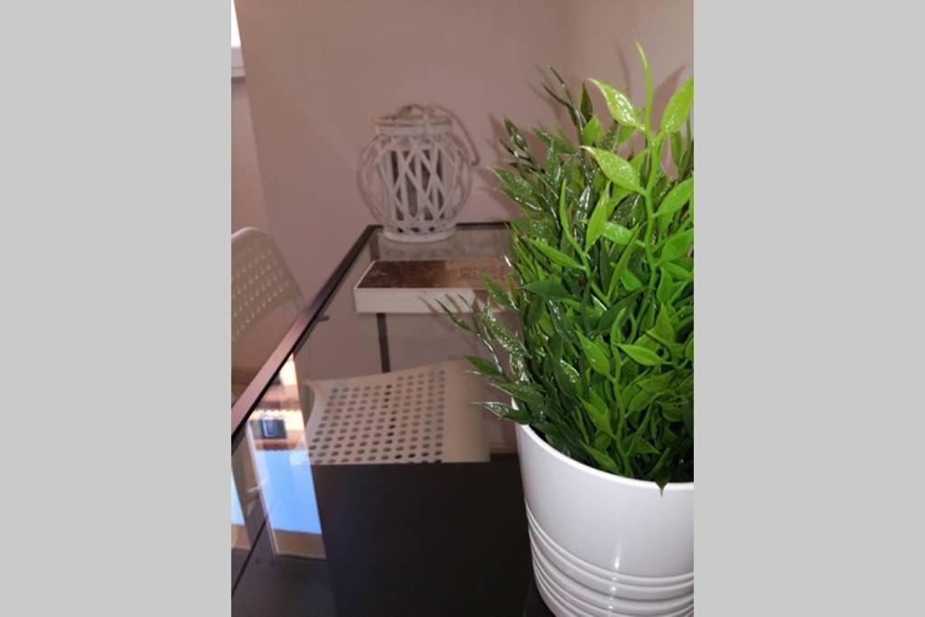 Apartament Trastevere House Rzym Zewnętrze zdjęcie