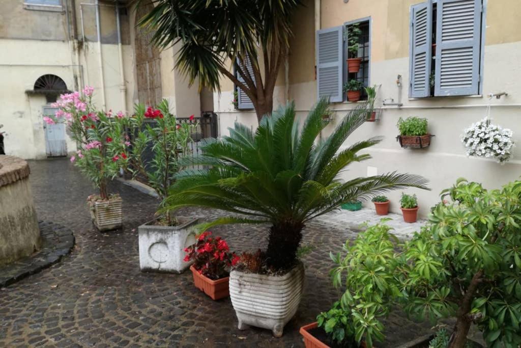 Apartament Trastevere House Rzym Zewnętrze zdjęcie